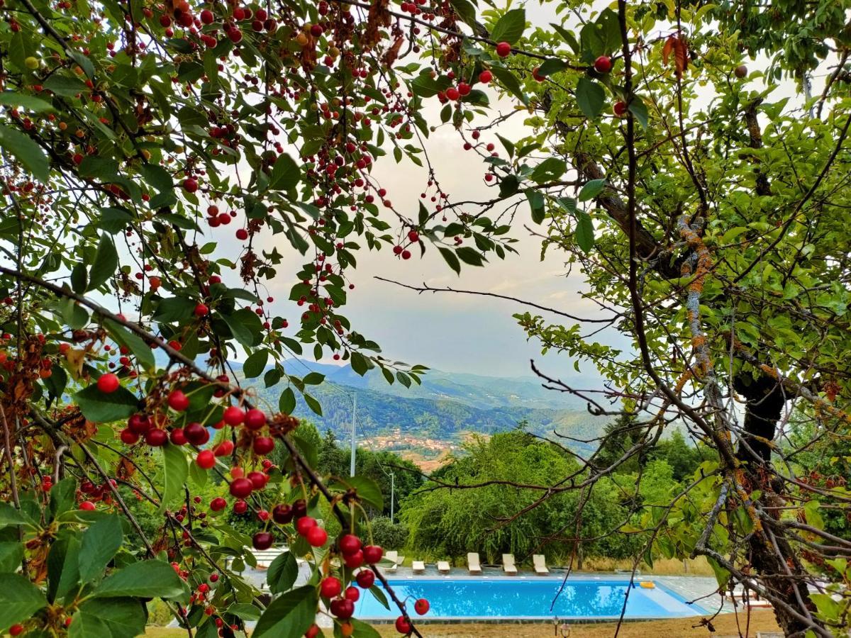 Agriturismo Borgo Biaia Camporgiano Екстер'єр фото